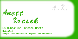 anett krcsek business card